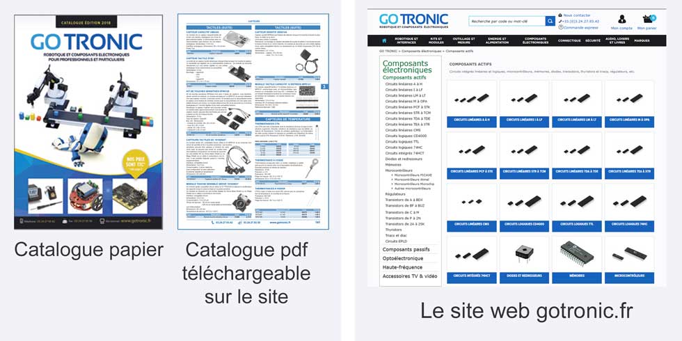 Aspect du catalogue papier et de sa version pdf et copie écran page composants actifs du site web